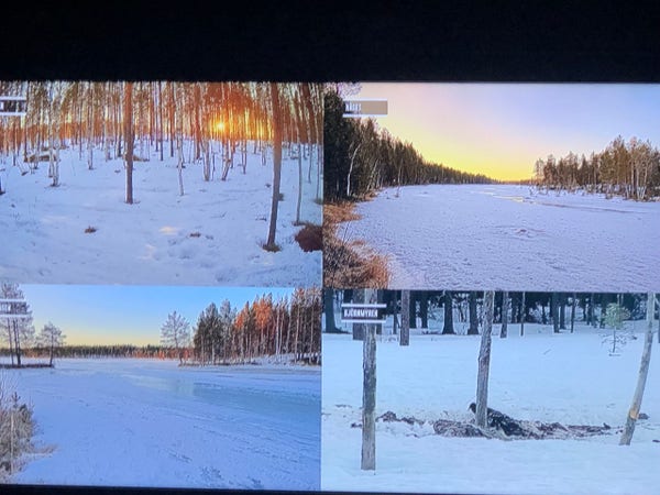 A pic of my Tv. There are four cameras. Top left is “Entren” A forest. Mostly birches and snow covered ground and the morning sun through the trees. Bottom left “Passagen” An iced over lake surrounded be trees. You can se footprints in the snow. Top right “Näset” a long stretch of ice covered water. Trees all around. The sky is yellow from the up coming sun. Bottom right. “Björnmyren” Three barren trees stands around the rest of a dead animal. The is the feeding ground and here you can be lucky to se a bear. Also plenty of birds. 