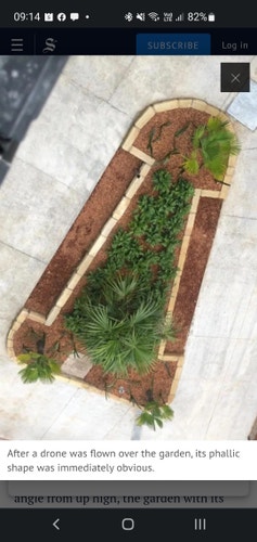 Reputedly phallic shaped garden area drone photo. The garden fits inside a rounded isosceles triangle path junction gap of a few metres. The garden is bordered by a low brick wall which partially raises the garden bed. The bricks are offset on the triangle edges to allow plants in front and behind, but the bricks reach the rounded corners so that there are no low garden bed portions on the corners. The shape could be described to roughly match a simplistic representation of an erect penis.