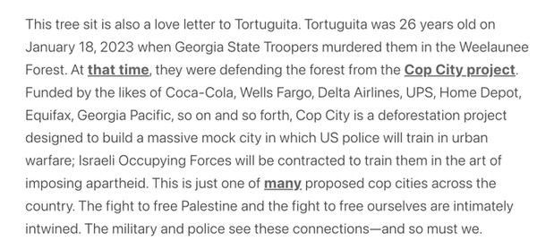 This tree sit is also a love letter to Tortuguita.  Tortuguita was 26 years old on January 18, 2023 when Georgia State Troopers murdered them in the Weelaunee Forest.  At that time, they wre defending the forest from the Cop City project.  Funded by the likes of Coca-Cola, Wells Fargo, Delta Airlines, UPS, Home Depot, Equifax, Georgia Pacific, so on and so forth, Cop City is a deforestation project designed to build a massive mock city in which US police will train in urban warfare; Israeli Occupying Forces will be contracted to train them in the art of imposing apartheid.  This is just one of many cop cities across the country.  The fight to free Palestine and the fight to free ourselves are intimately intwined.  The military and police see these connections - so must we.