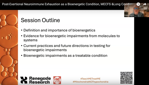 Screenshot from video linked in previous post.

Text: "Session Outline
- Definition and importance of bioenergetics
- Evidence for bioenergetic impairments from molecules to systems
- Current practices and future directions in testing for bioenergetic impairments
- Bioenergetic impairments as a treatable condition"


