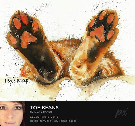A cute watercolor painting of cat paws
