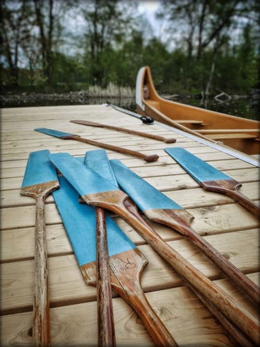 Eight wood paddles sit on a wooden dock next to a large canoe. Large trees can be seen in the background.