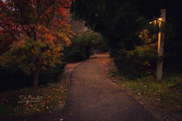 A winding path leads through a tranquil garden with a variety of autumn-colored foliage on the trees. A wooden post stands to the right of the pathway, and a lit lamp is shining through the tree branches that hang over it.  Image at:  https://beautifulsunphotography.com/featured/autumn-path-at-mountain-lake-lodge-deb-beausoleil.html See more art & blog at: https://beautifulsunphotography.com/ https://debbeausoleil.com