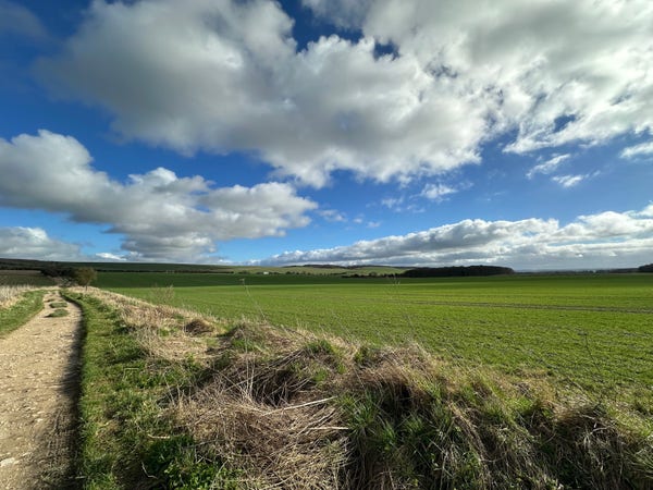 A green field under blue skies and white clouds. A dirt path extends up the left of the image. 