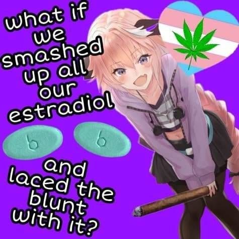 what if we smashed up all our estradiol and laced the blunt with it? 

and it's an anime girl next to a pot leaf and trans heart and estradiol pills holding a blunt