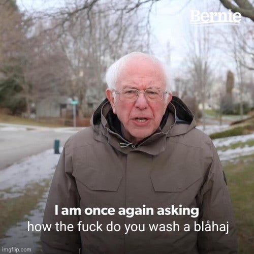 The Bernie Sanders "I am once again asking for your financial support" meme but it says "I am once again asking how the fuck do you wash a blåhaj"