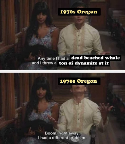 1970s Oregon: Any time I had a dead beached whale and I threw a ton of dynamite at it -- boom, right away, I had a different problem.