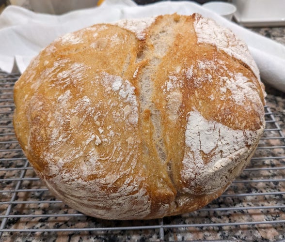 A round loaf of sourdough bread, dusted with flour and cooling on a rack over a granite kitchen counter.