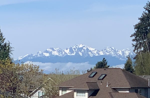 snow-capped mountains seen over rooftops and between trees.
