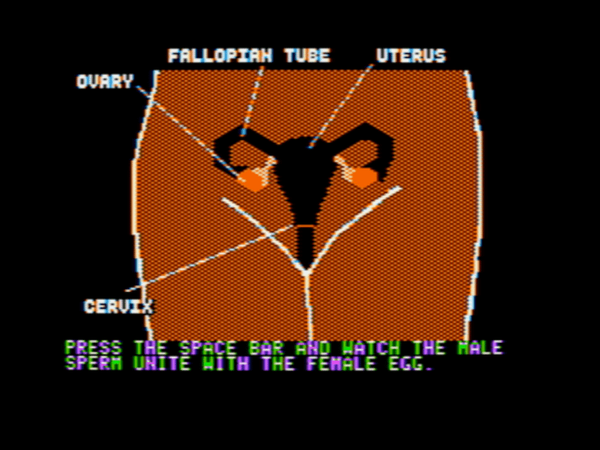 screenshot from "From the Beginning... Contraception" showing fallopian tube, uterus, ovary, and cervix, captioned "press the space bar and watch the male sperm unite with the female egg"