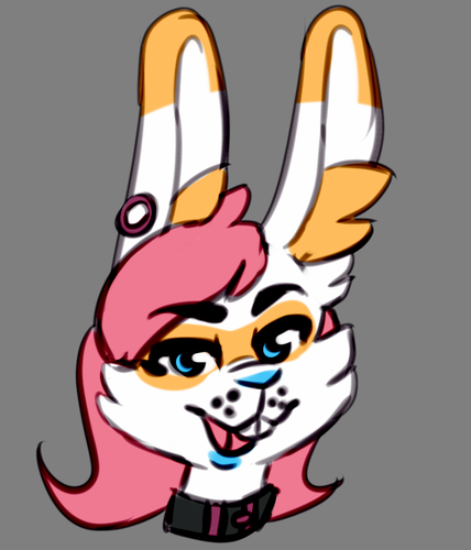 A drawing of the same white and orange rabbit fursona in the attached post, but this time she's got a more mischievous expression