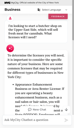 Chat transcript with NYC bot. It provides a list of licences that someone might need if they wanted to open a butcher shop for cannibals on the Upper East Side.
