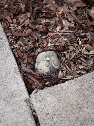 Zeichnung auf einem Stein, stellt einen kleinen, zusammengerollt schlafenden Hund dar. David hat diesen Hund neben Bodenplatten ins Laub gelegt.