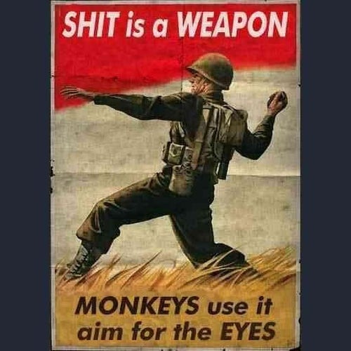Propaganda pic of us ww2 solfier throwing a handgrenade. SHIT is a WEAPON. MONKEYS use it aim for the EYES