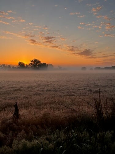 Sunrise. The sky is soft, and fog is sitting on top of a field.