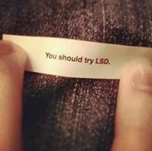 Photo of a fortune from a fortune cookie:
You should try LSD.