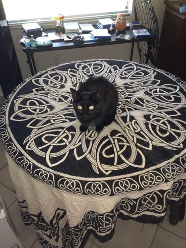 A black cat sitting in the center of a round table that has a Celtic magic circle table cloth.