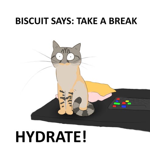 A cartoon of a sandy tabby cat sitting on a desk next to a colourful keyboard and a cat bed. Above it is the text 'Biscuit says: Take a break'. Below it is the text 'Hydrate!'