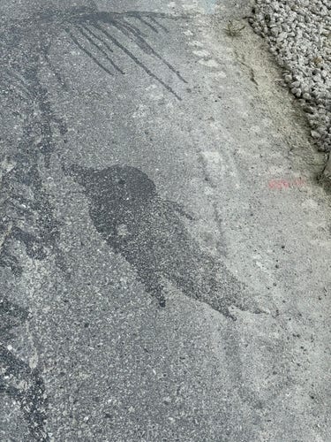 A stain on the street shaped almost like the ex Twitter logo.