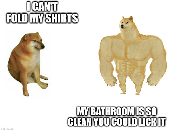 A cheem vs buff doge meme.

The cheem doge says "I can't fold my shirts". The buff doge replies "My bathroom is so clean you could lick it"