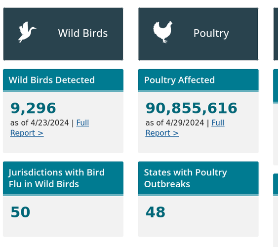 CDC webpage indicating 90M chickens in 48 states have been affected by H5N1