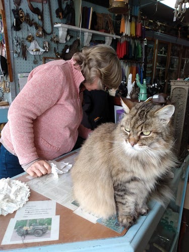 Beatrice the long haired beige tabby sits on the register stand (around closing time) as the store owner checks on my doily prices. Beatrice looks a little doubtful about my purchase with mild disdain as she looks to the side.

The rest of the store is full to the brim with antiques and candles and tchotchkes and stuff loaded on every shelf and hanging from the walls and ceilings.