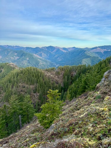 View of the Tillamook State Forest from near the top of Kings Mountain. Steep mountain side leads to a vast mountain range of northwest rainforest. Mix of tall green trees and logged areas. Partly cloudy sky with light blue sky peering through. 