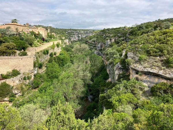 Photo of a view over a deep limestone gorge through which a river flows over smooth rock. The cliffs are densely wooded but exposed rock towards the top on the right reveal caves and hollows that have eroded in different layers and where swifts and other birds were nesting. On the left perches the ancient town of Minerve, stone ramparts blending into the rock face. A tower much of all that remains of the old castle. 
The gorge stretches on into the distance under a cloudy but bright sky.