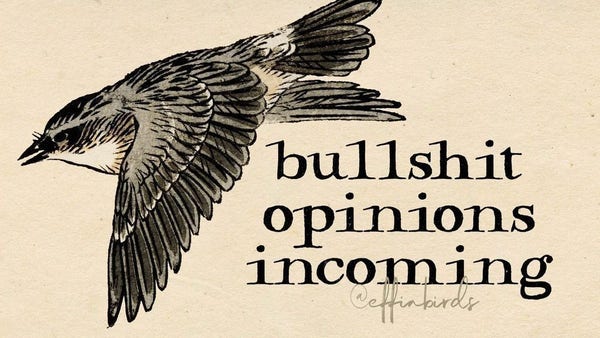 A painting of a bird next to the words "bullshit opinions incoming"