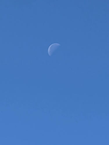 Half moon in a blue sky 