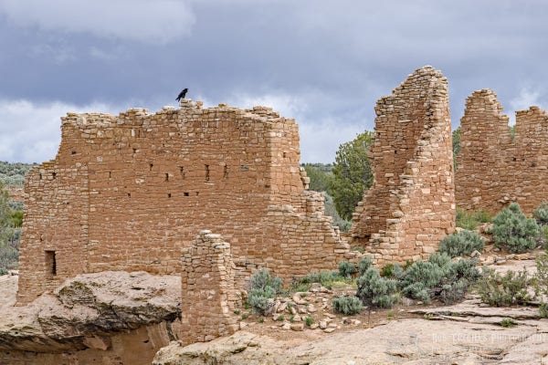 A color photo of an Ancestral Puebloan ruin sitting on the edge of a canyon and surrounded by sagebrush. The ruin is roofless and its remaining crumbling walls are built with hundreds of hand- and natural-shaped sandstone bricks. A raven sits atop the ruin wall on the left under a dark, rain threatening sky.