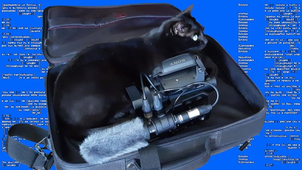 Cat and camcorder in suitcase on blue background with transcript text