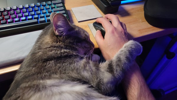 Cat laying halfway on a lap and halfway on a desk, head resting on a wristpad for a keyboard, one paw over an arm holding a mouse. Happily asleep.