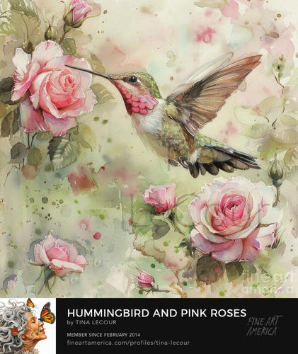 This is a watercolor of a handsome Ruby Throated Hummingbird flying around some pretty pink rose flowers. 