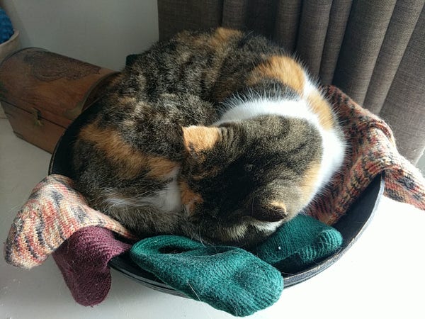 A tortoiseshell and white cat curled up in a large dark wooden bowl overflowing with handknitted socks in various colours.